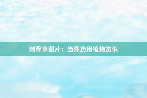 刺骨草图片:当然药用植物赏识